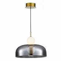 Подвесной светодиодный светильник ST Luce ODE SL6112.203.07 