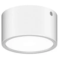 Уличный светодиодный светильник Lightstar Zolla 380163 